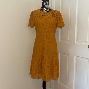 NWOT Michael Kors Mustard Yellow Lace Midi Dress, Size 6